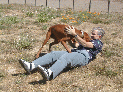 PupsLo_113.JPG
 (168.2k)