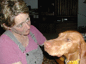 dogs0_6.JPG
 (97.3k)