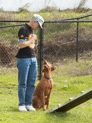 images/dogSchool/dogSchool-01.jpg