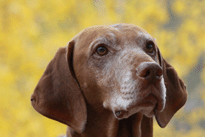 images/headshots/headshots_l-100.jpg