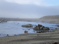LoriCamping_l-06.gif