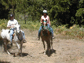 DSCN1737.JPG
 (120.2k)